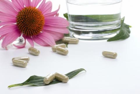 echinacea for helth
