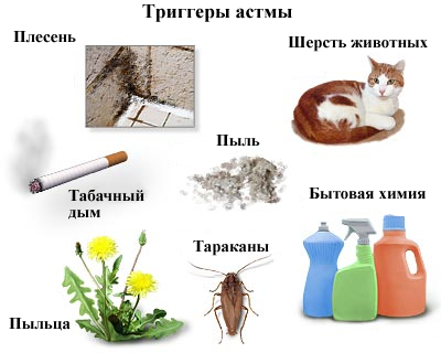alergiya